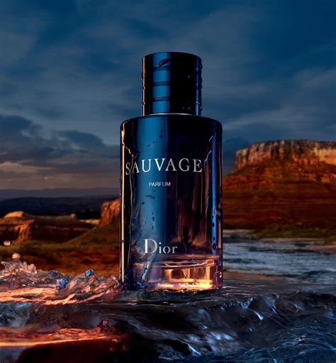 dior dauvage|dior sauvage best price.